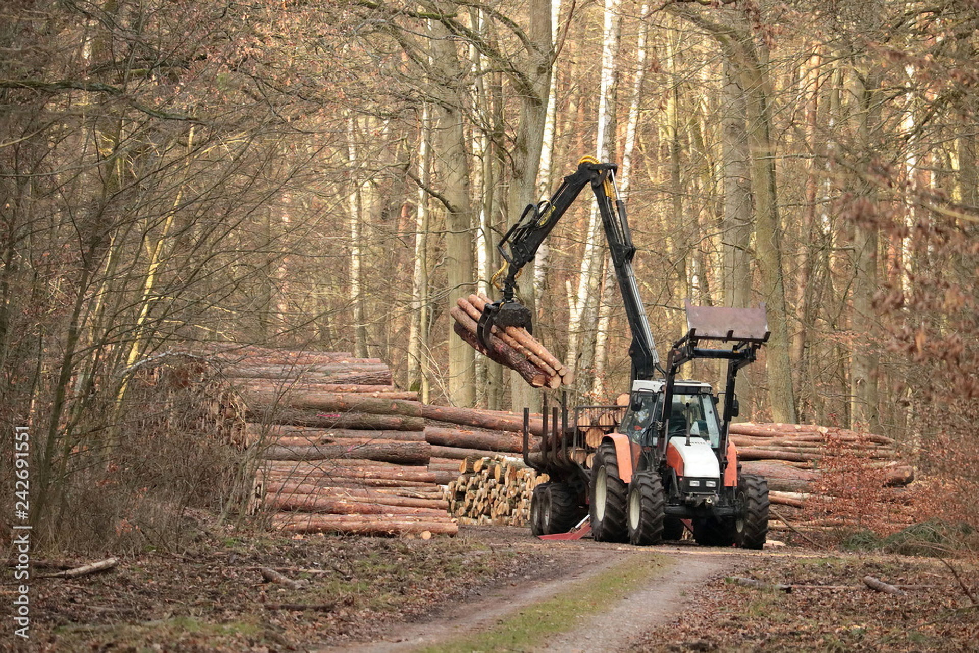 Ein Rückewagen bei der Arbeit im Wald.